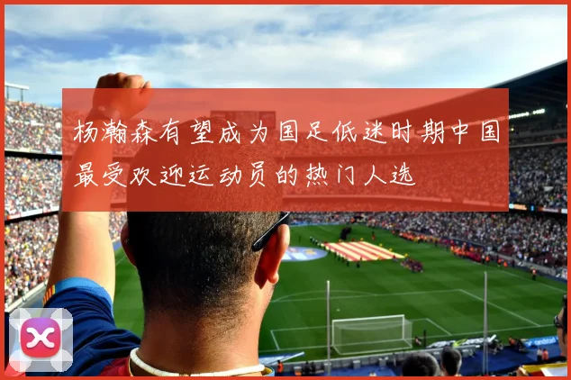 杨瀚森有望成为国足低迷时期中国最受欢迎运动员的热门人选