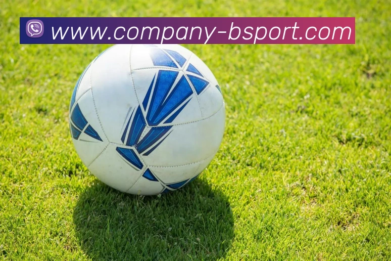 B体育APP 封面图